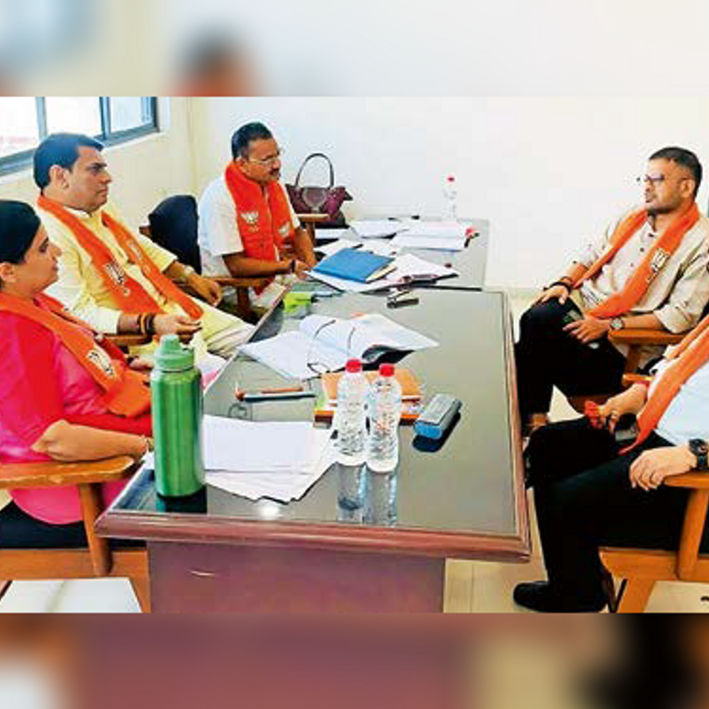 વાઘોડિયા, કરજણ, પાદરા, વડોદરા તાલુકામાં ઉમેદવારોનો રાફડો ફાટ્યો.