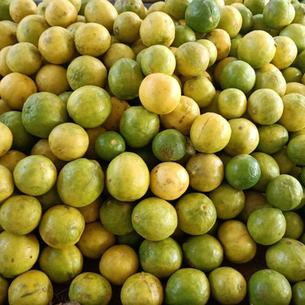 લીંબુ હૉલસેલમાં ₹110, છૂટકમાં ₹200: ભાવ વધારાથી ગ્રાહકો પરેશાન.