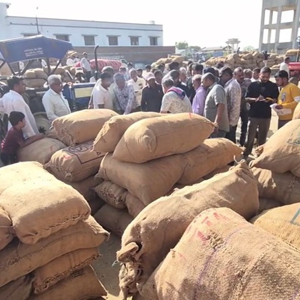 હિંમતનગર માર્કેટયાર્ડમાં 3 દિવસમાં તમાકુની 8699 બોરી આવક:ખેડૂતોને રૂ. 1285થી 2100 સુધીના ભાવ મળ્યા