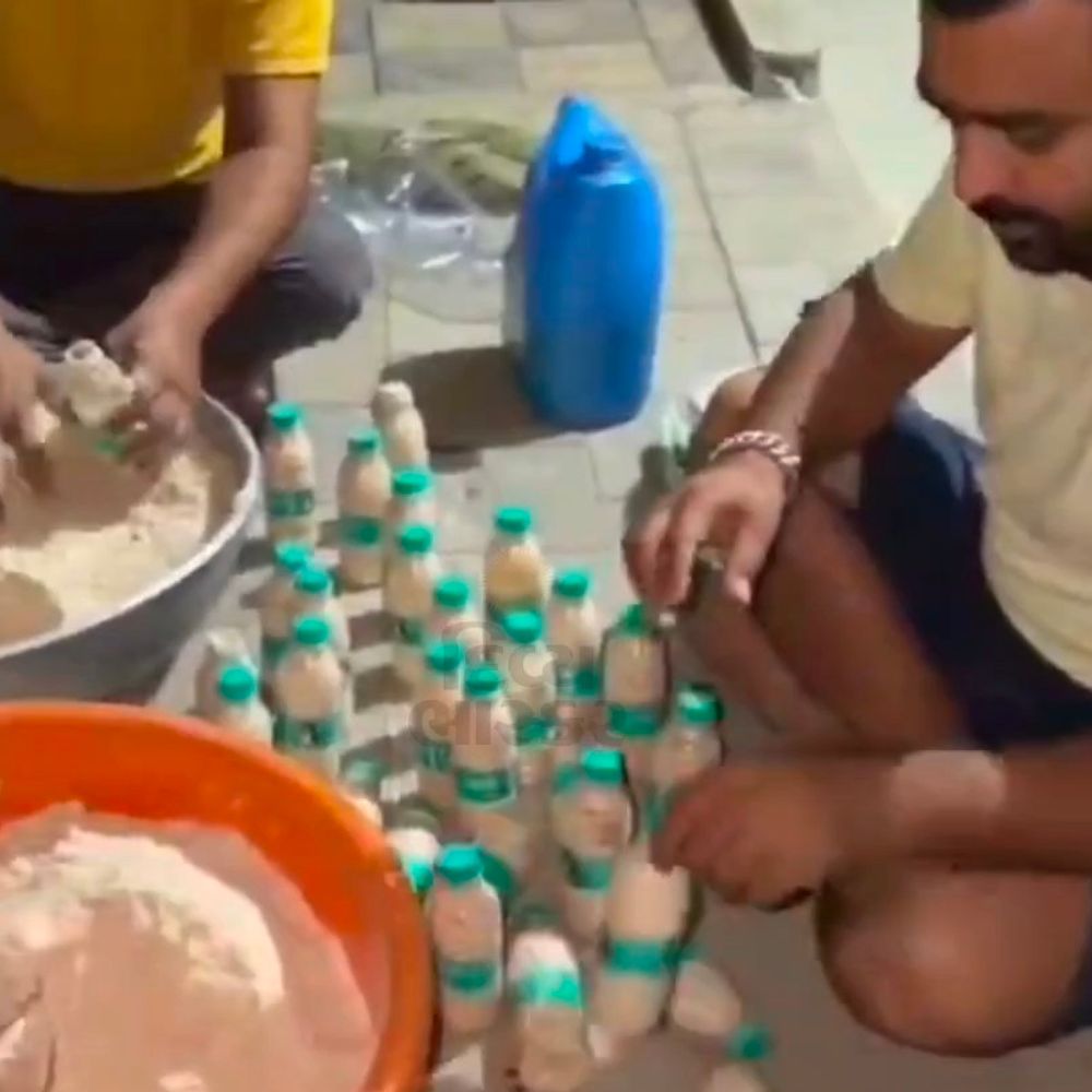 ગોધરા કોલેજ સ્ટાફ દ્વારા જીવદયાનું ઉત્તમ ઉદાહરણ:કીડીઓને કણ પૂરી સેવાયજ્ઞ યોજાયો