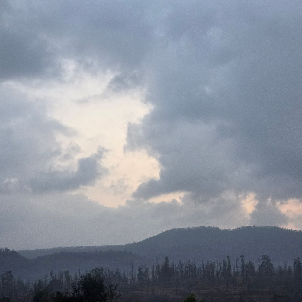 ડાંગમાં વાતાવરણ પલટાયું: ઠંડક, ધુમ્મસ અને સાપુતારામાં ગાઢ ધુમ્મસ; ખેડૂતોને પાક નુકસાનની ચિંતા.