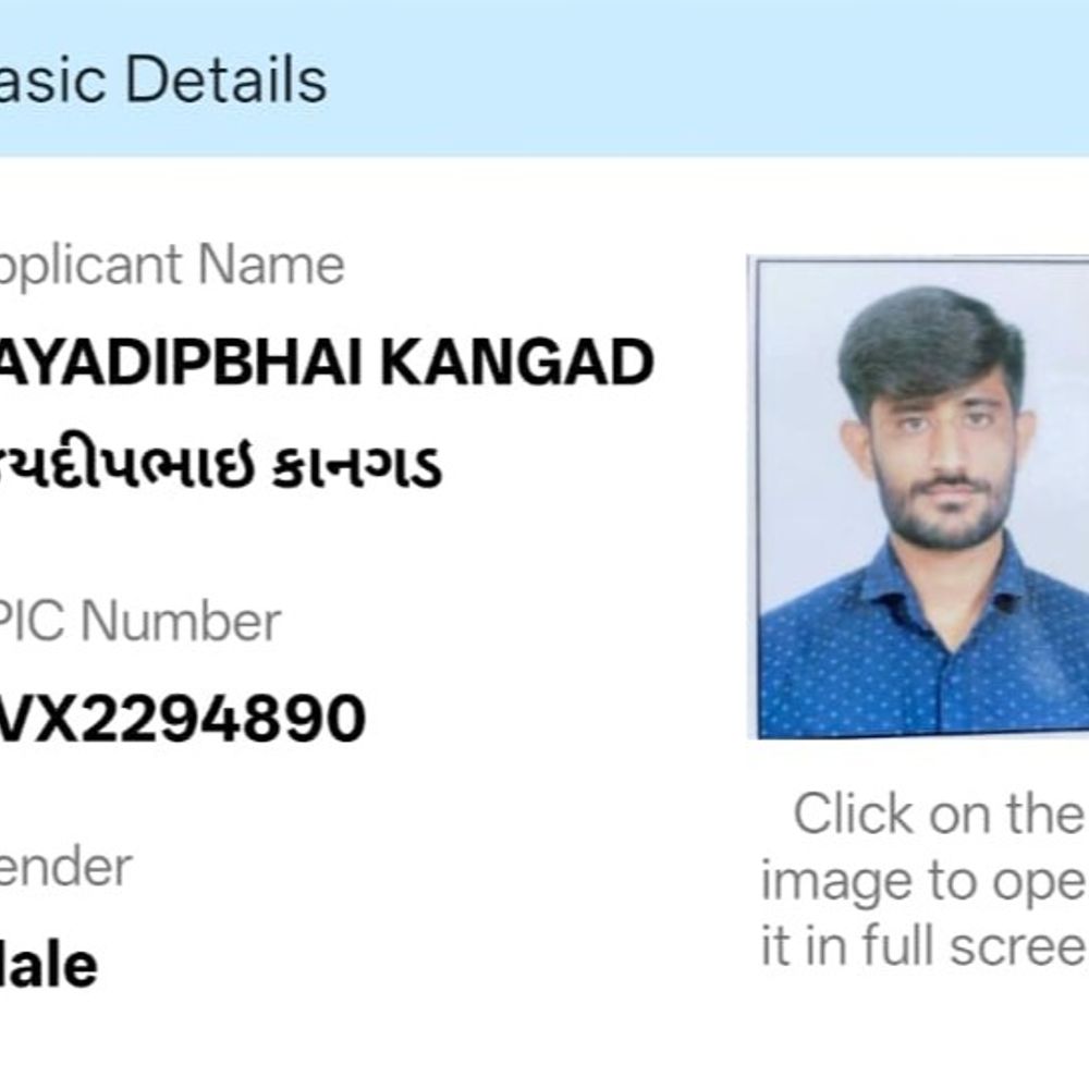 રાજકોટમાં મનપા ચૂંટણી પૂર્વે ગરમાવો:મતદાર યાદીમાં ગેરરીતિના આક્ષેપ સાથે કોંગ્રેસ નેતાઓ દ્વારા કલેક્ટરને રજૂઆત, ભાજપના ઈશારે ગેરરીતિનો લગાવ્યો આરોપ