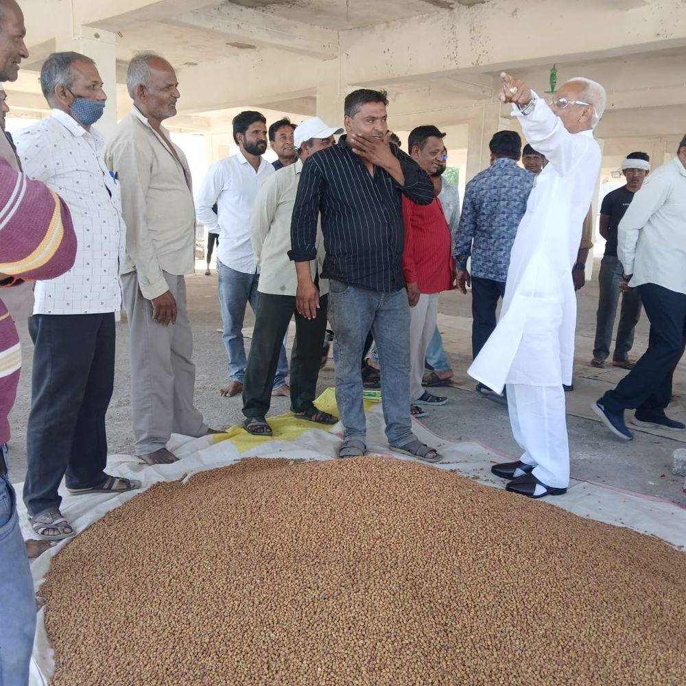 ₹1175 ભાવે ચણા ખરીદી: લાઠી યાર્ડમાં ટેકાના ભાવે ચણાની ખરીદી શરૂ, ખેડૂતોમાં આનંદની લાગણી.