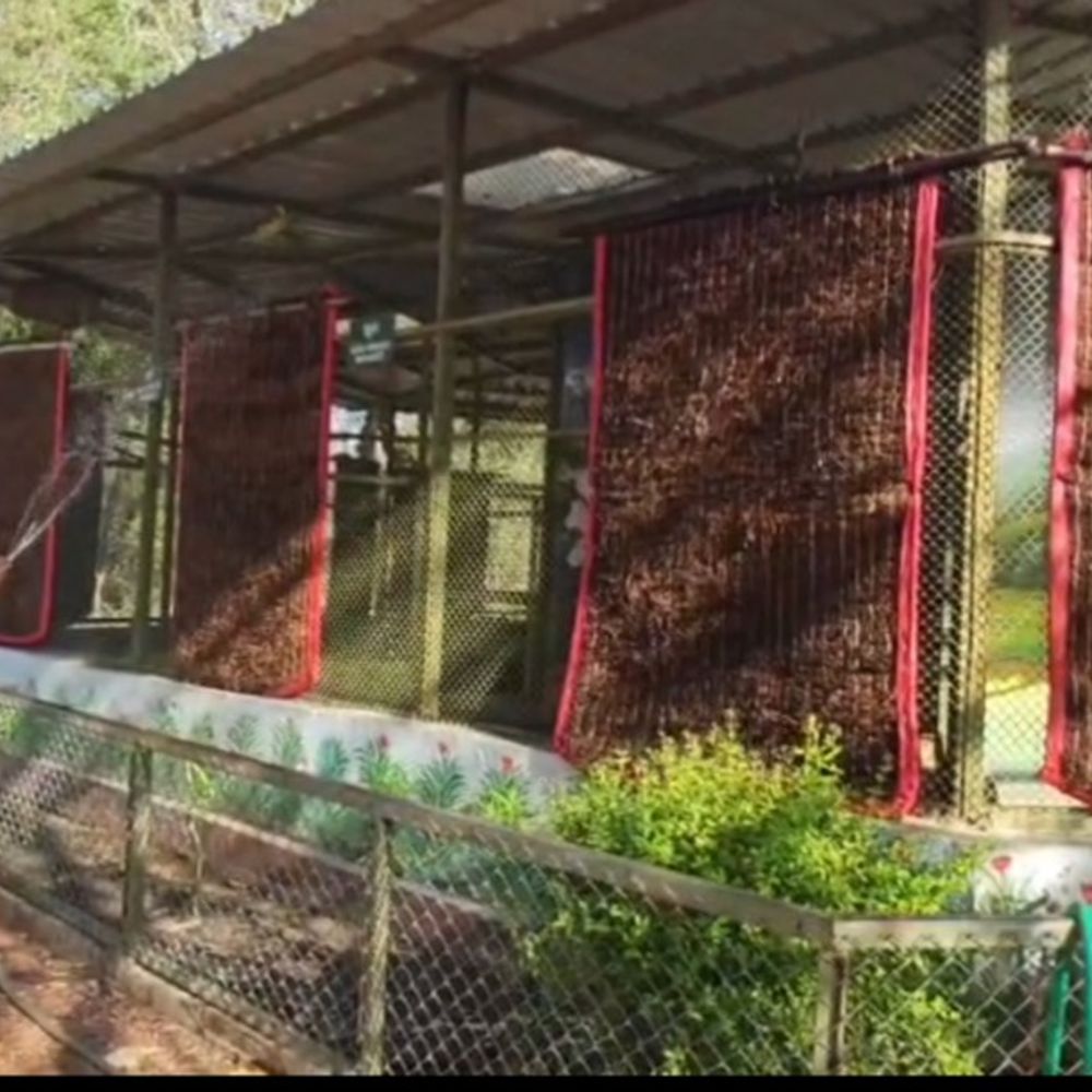 વન્યજીવો માટે સ્પેશિયલ કૂલિંગ વ્યવસ્થા.