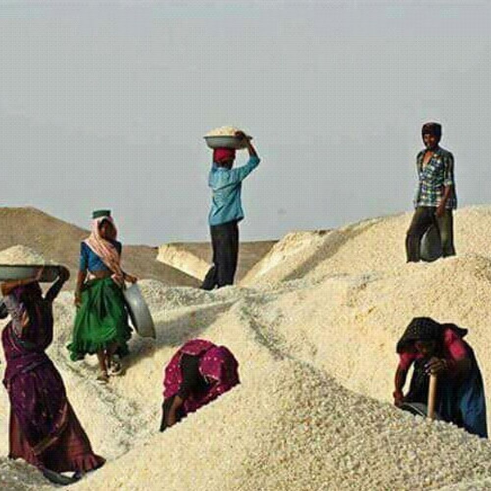 ખારાઘોડા રણમાં મીઠું ખેંચવાની સીઝન પુરજોશમાં:40 ડિગ્રી તાપમાનમાં જેસીબી-ડમ્પરોથી કામગીરી ચાલુ