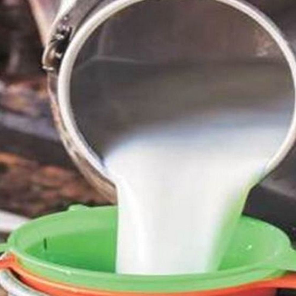 કચ્છનું દૂધ ઉત્પાદનમાં યોગદાન: 7,62,045 મેટ્રિક ટન સાથે રાજ્યમાં 7મો ક્રમ.