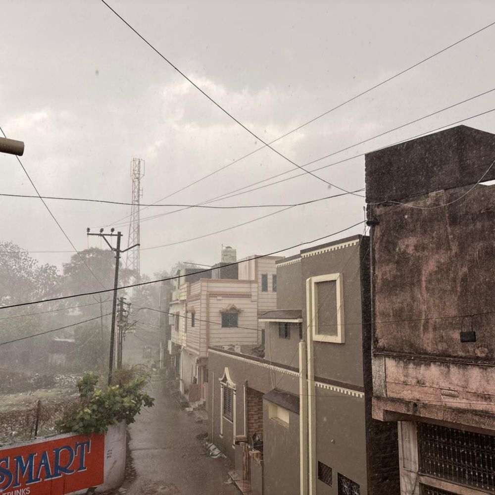 ગોધરામાં કમોસમી વરસાદ, ભારે પવન સાથે ઝાડ પડ્યું:સિવિલ હોસ્પિટલ ગેટ પાસે ઝાડ ધરાશાયી, અફરાતફરી મચી