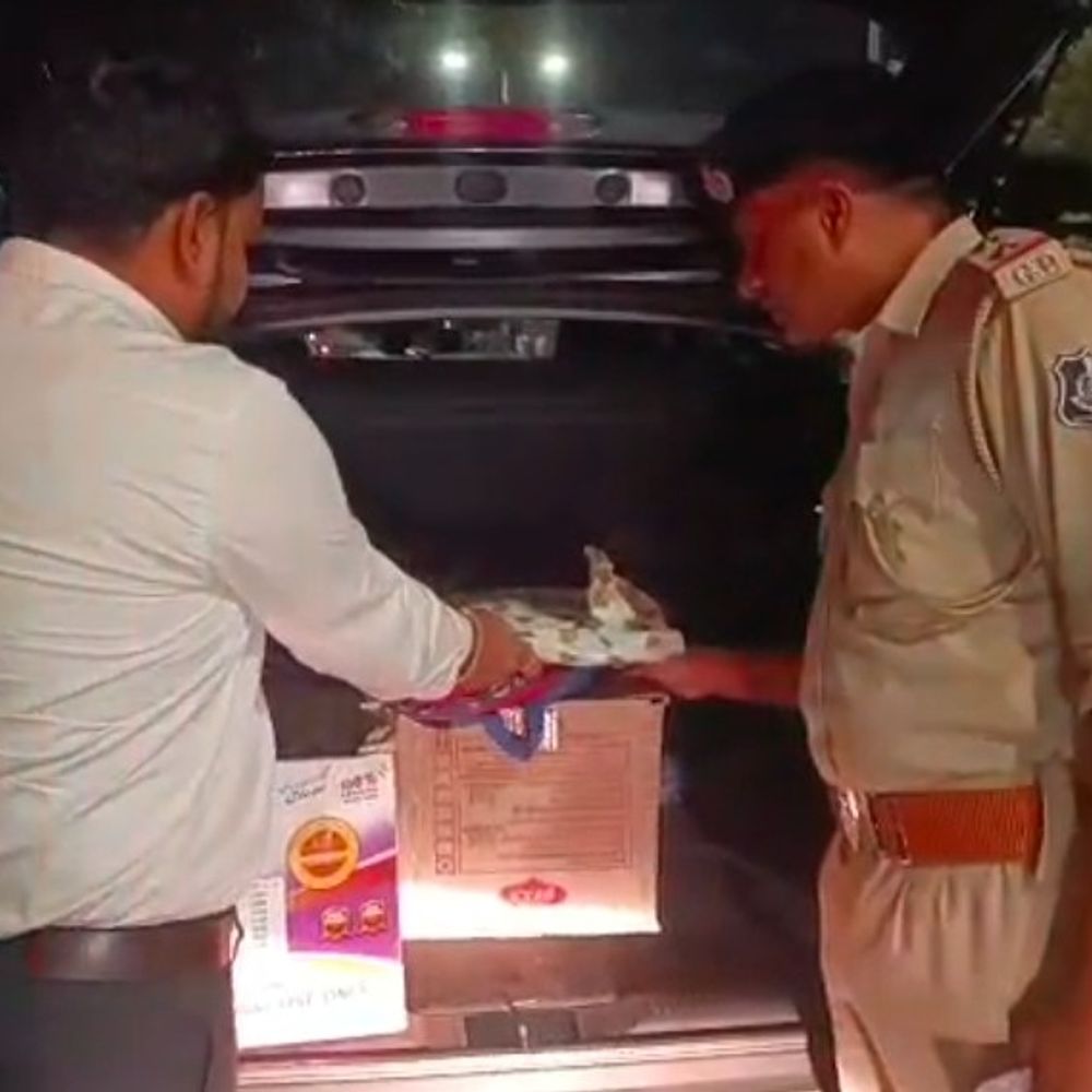 પીધેલી હાલતમાં એક શખ્સ મળી આવ્યો:વડોદરા મહાનગરપાલિકા ચૂંટણીને પગલે વડોદરા શહેર પોલીસ એક્શનમાં, નાકાઓ પર કડક ચેકિંગ હાથ ધરવામાં આવ્યું, દારૂની હેરાફેરી રોકવા પોલીસ સજ્જ