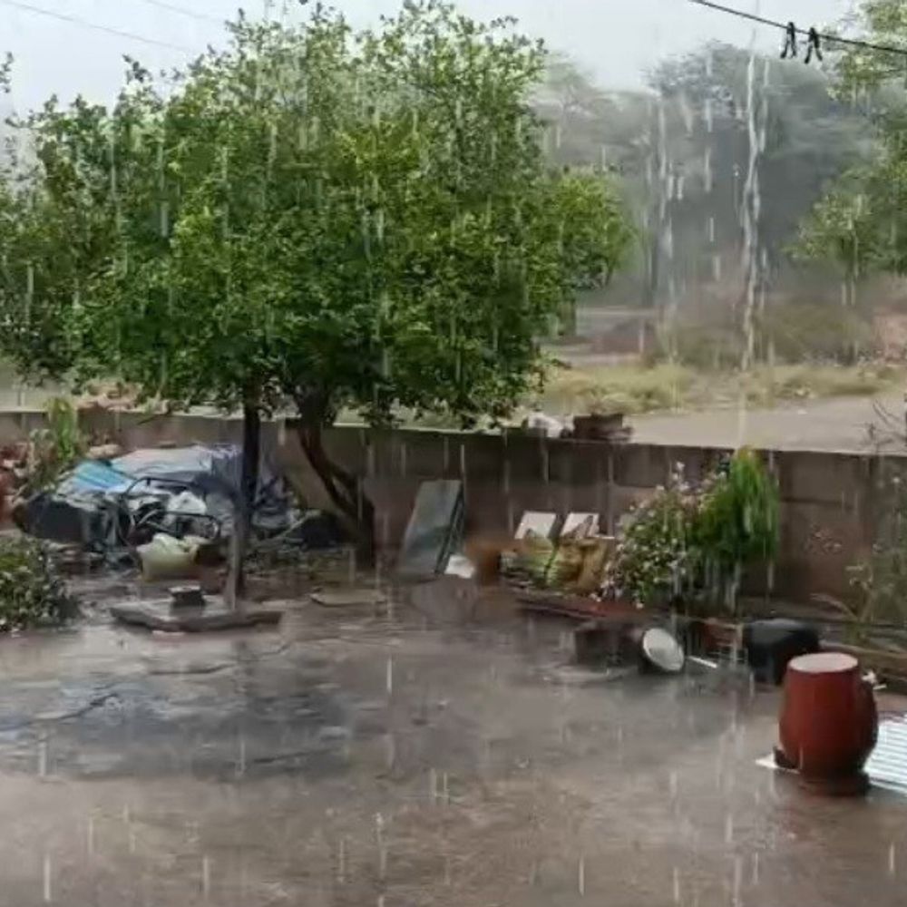 અરવલ્લીમાં વાતાવરણ પલટાયું, ભારે પવન સાથે માવઠું:બાયડ કરાં સાથે માવઠું અને મોડાસા, મેઘરજ પંથકમાં કમોસમી વરસાદથી પાકને નુકસાનની ભીતિ