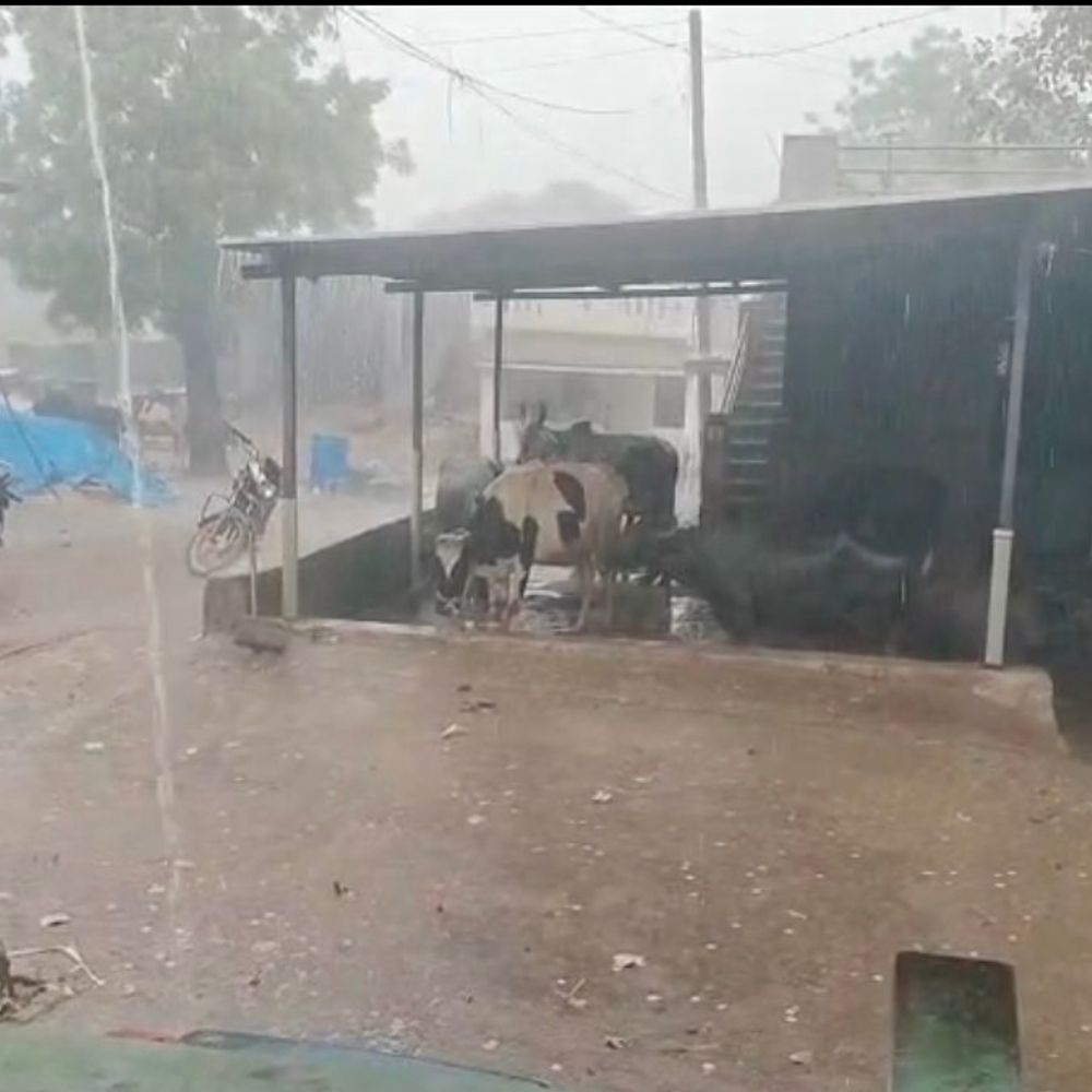 મહીસાગર જિલ્લામાં ઉત્તર ભારત જેવા દ્રશ્યો સર્જાયા:બપોર બાદ વરસાદ અને કરા પડ્યાં, કેટલાક વિસ્તારોમાં ધોધમાર, ક્યાંક ધીમીધારે