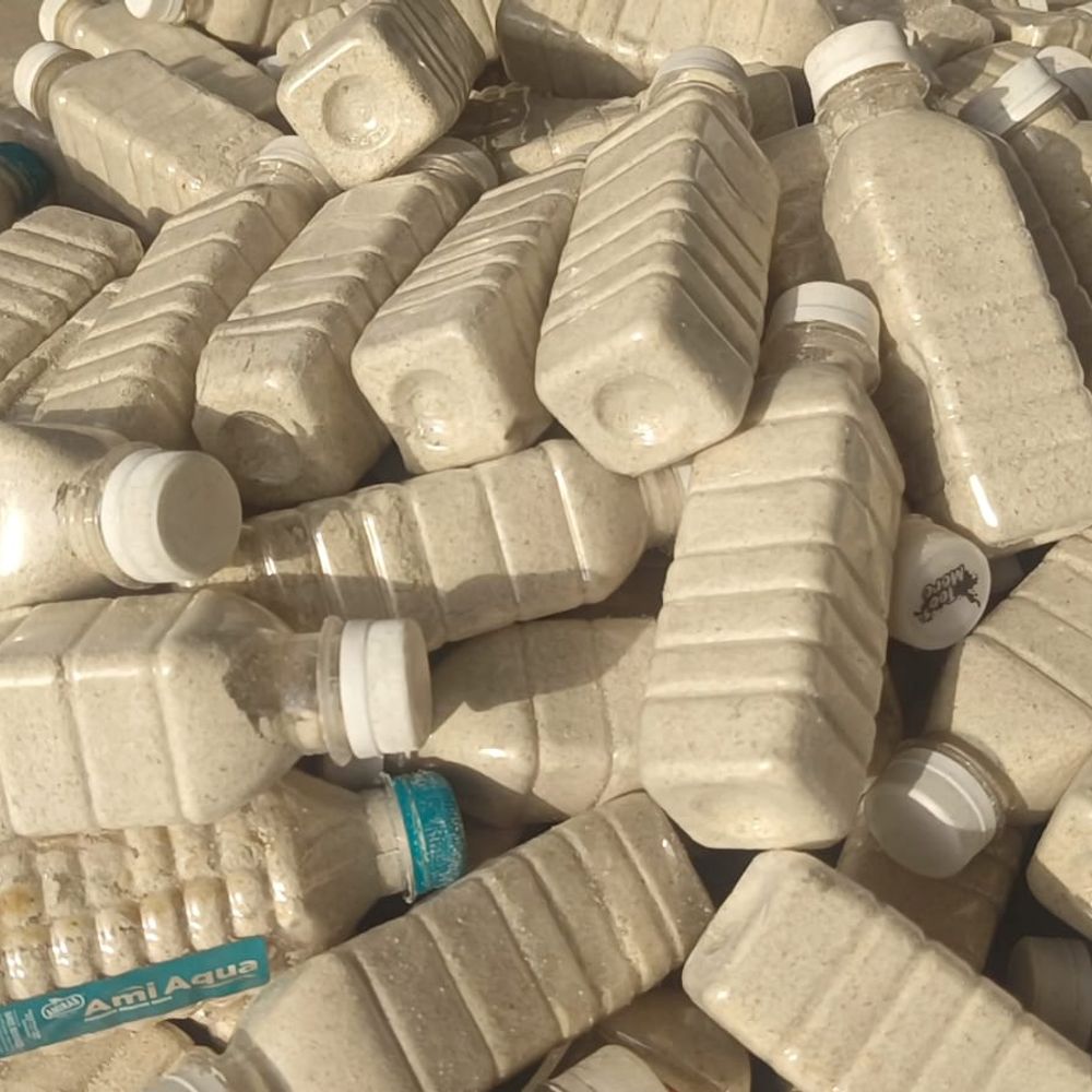 કુરિવાજોને તિલાંજલિ આપી જીવદયાનો સંદેશ:સાવરકુંડલાના સદ્દગત આત્માની સ્મૃતિમાં 856 બોટલ નવરત્ન કણથી અબોલ જીવોની સેવા