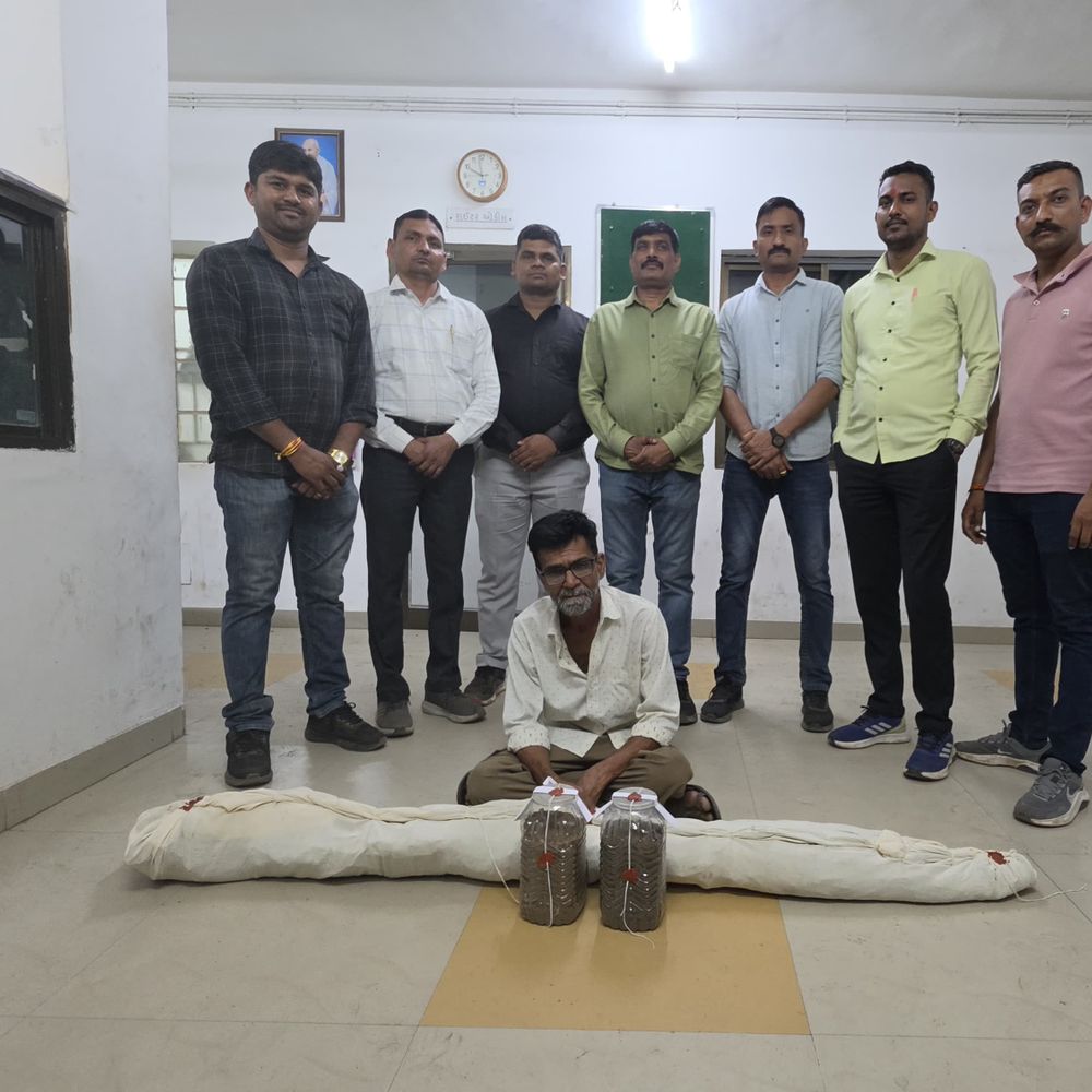 ગોધરામાં ગાંજાની ખેતીનો પર્દાફાશ:ખેતરમાં અન્ય પાકની આડમાં 22 છોડ સાથે એક ઝડપાયો