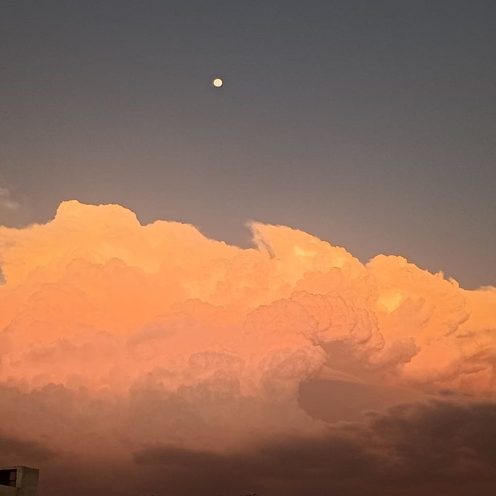 આજે ફરી માવઠાની આગાહીથી કેરીનો 40% પાક બચ્યો છે, તેના પર ખતરાથી ખેડૂતો ચિંતાતુર.