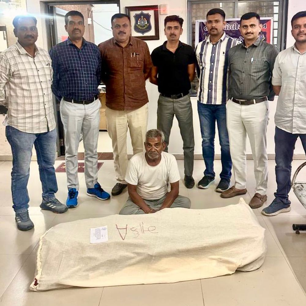 ધરપકડ:લાઠી નજીક 12.105 કિગ્રા લીલા ગાંજાના છોડ સાથે ખેડૂત ઝડપાયો