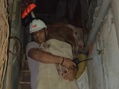 કાટમાળમાં ફસાયેલા વૃદ્ધાનું રેસ્ક્યૂ: ફાયર જવાનોએ ખભે ઉચકીને બચાવ્યા, વરિયાવી બજારમાં મકાન ધરાશાયી.