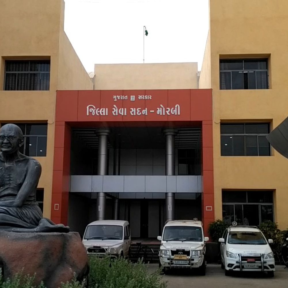 મોરબી સ્થાનિક સ્વરાજ ચૂંટણી:ચાર દિવસમાં ઓછો પ્રતિસાદ, 255 બેઠકો સામે માત્ર 65 ફોર્મ ભરાયા