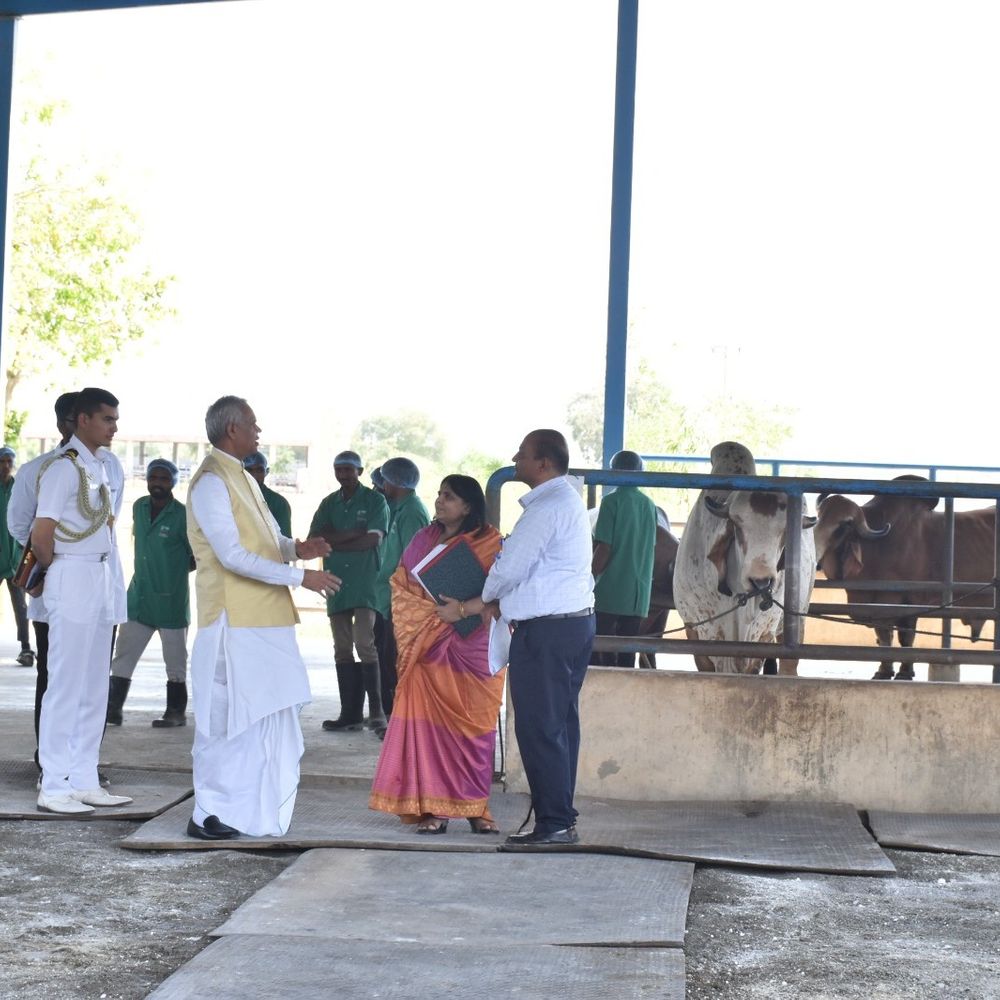 રાજ્યપાલ આચાર્ય દેવવ્રતએ પાટણ સંસ્થાની મુલાકાત લીધી:લિંગ નિર્ધારિત સીમેન ટેકનોલોજીને પશુપાલકો માટે આશીર્વાદરૂપ ગણાવી