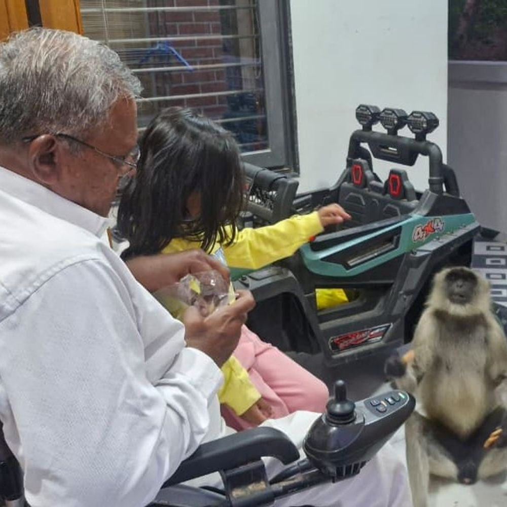 પાટડીમાં જોવા મળ્યા માનવતા અને પશુપ્રેમના દ્રશ્યો:વ્હીલચેર પર પૌત્રી સાથે બેસી દિવ્યાંગ દાદાએ વાનરને પ્રેમથી બિસ્કિટ ખવડાવ્યા; જીવદયાના સિંચ્યા ઉમદા સંસ્કાર