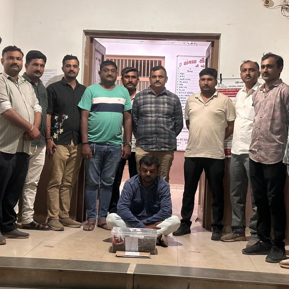 ધ્રાંગધ્રામાં 54,200નો ગાંજો ઝડપાયો:SOG સુરેન્દ્રનગરે એક આરોપીને પકડ્યો, બીજો ફરાર