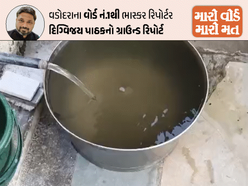 ગંદુ પાણી, પાર્કિંગની સમસ્યાથી છાણી, નવાયાર્ડ અને નિઝામપુરાના લોકો પરેશાન.