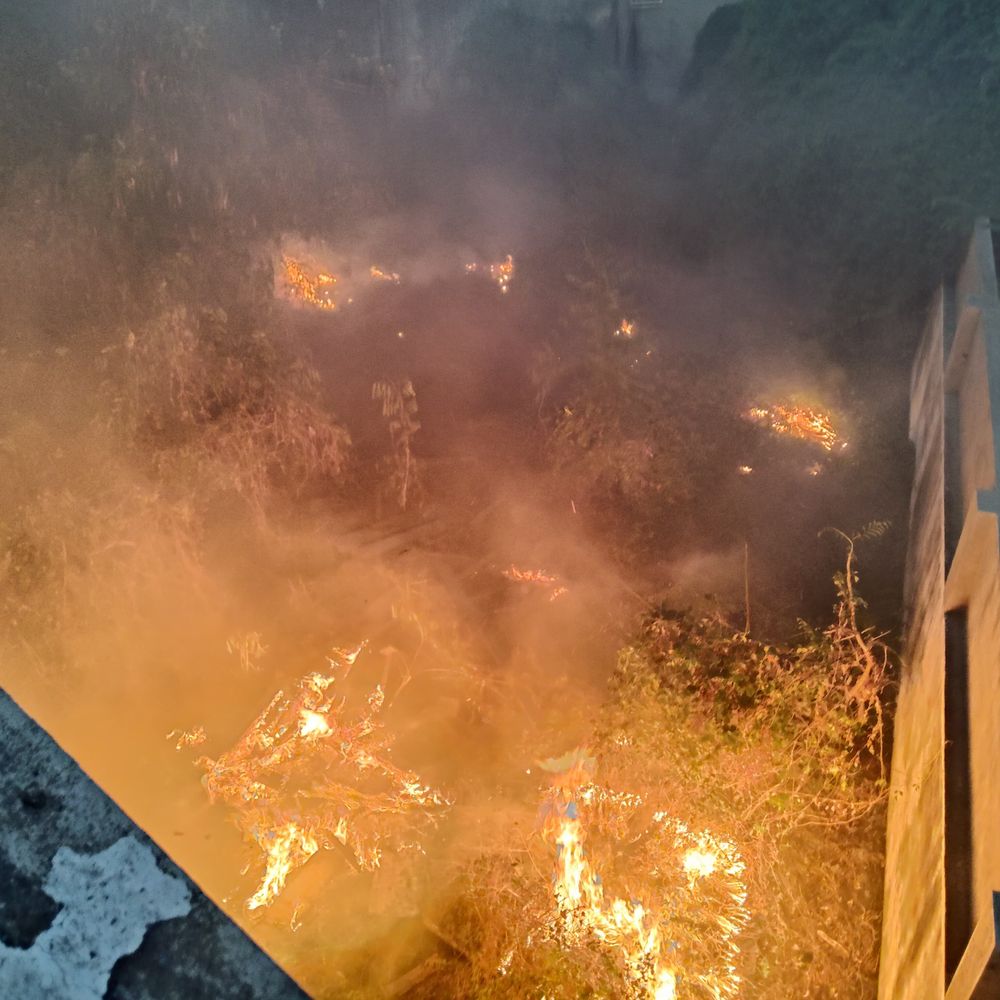 સુરેન્દ્રનગર યંગ્સ ક્લબમાં આગ:મલાર ચોક નજીક ક્લબને મોટું નુકસાન, ફાયરે કાબૂ મેળવ્યો