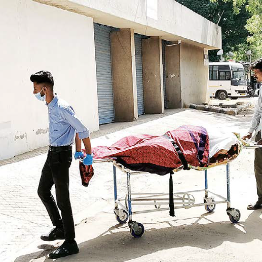 કચ્છ વાણીયાવાડમાં રાશનના 4 લાખ માટે વૃદ્ધની બોટલ અને દસ્તાથી ઘાતકી હત્યા, આરોપીની કબૂલાત.