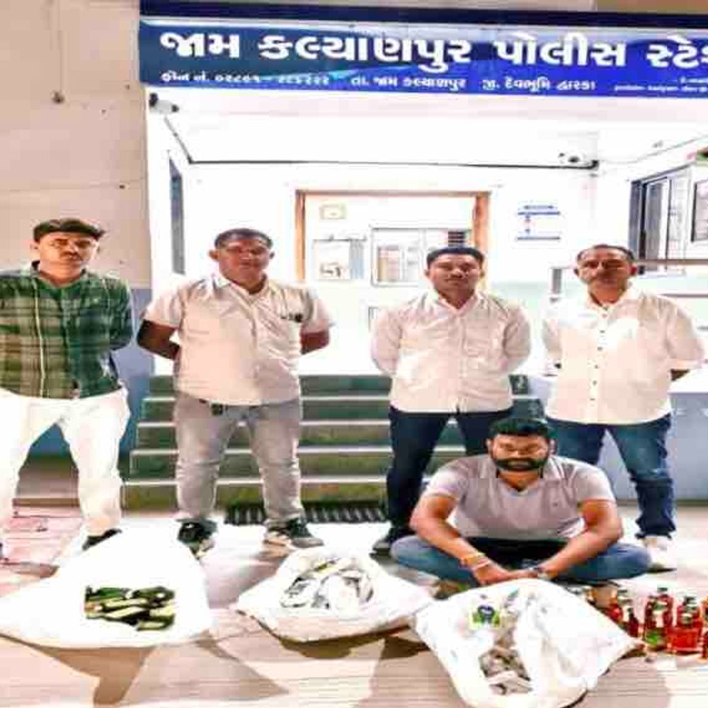 LCB એ ભોપલકા ગામેથી 220 બોટલ દારૂ ઝડપ્યો:ચૂંટણી પહેલાં ₹44,590ના મુદ્દામાલ સાથે એક આરોપી પકડાયો