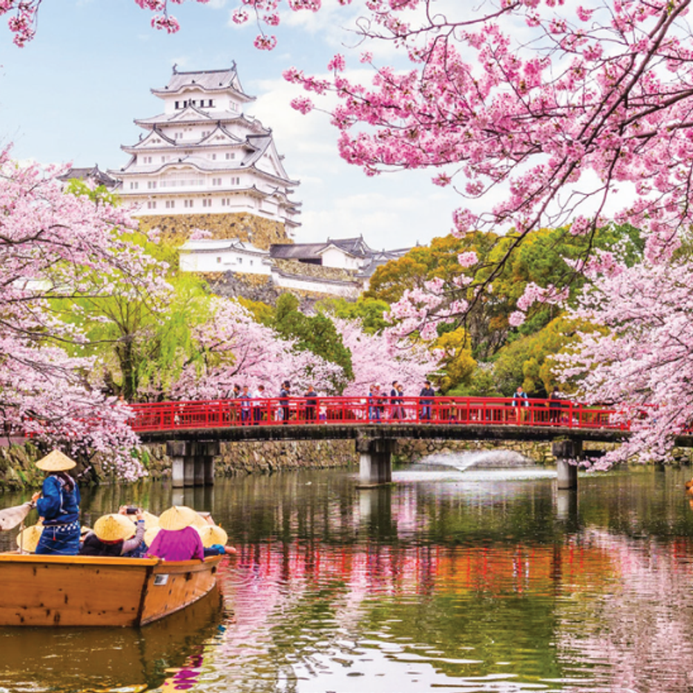 ચેરી બ્લોસમની રંગીન ઋતુ એટલે એપ્રિલ મહિનો: વિવિધ દેશોમાં ઉજવણી અને જપાનીઝ સકુરા વૃક્ષોનું મહત્વ.