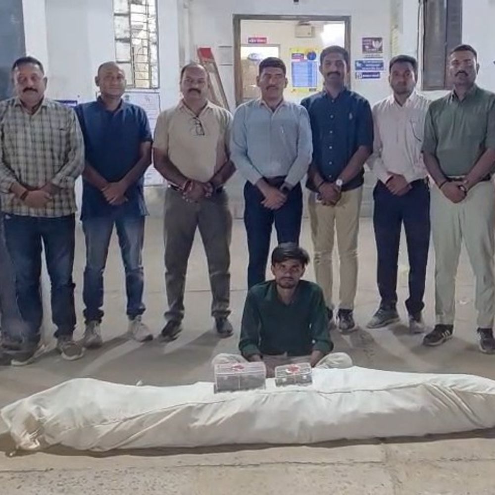 વડાલીના બડોલની સીમમાં ડ્રોનની મદદથી ગાંજાનું ખેતી ઝડપી:SOGએ 20 કિલોથી વધુ ₹10 લાખના ગાંજાના 44 છોડ જપ્ત કર્યા, એકની ધરપકડ