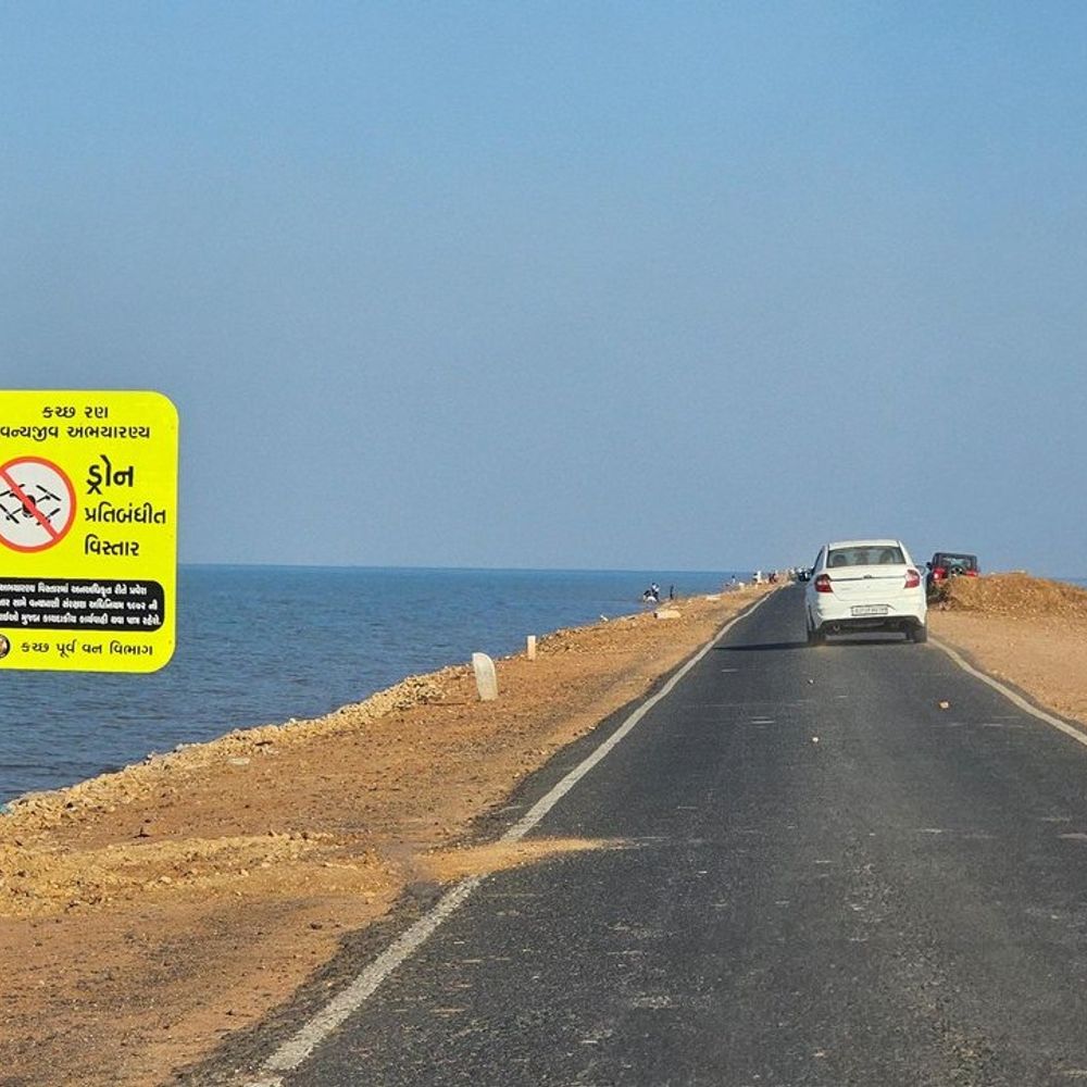 'રોડ ટુ હેવન' પર ડ્રોન ઉડાડવા સામે પ્રતિબંધ:વન્યજીવોના રક્ષણ માટે નિર્ણય, વન વિભાગે બહાર પાડ્યું જાહેરનામું