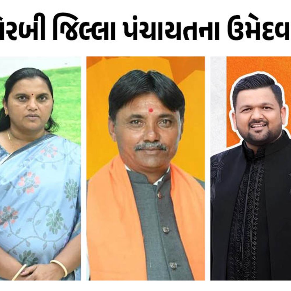 મોરબી જિલ્લા પંચાયતની ચૂંટણી 2026:ભાજપ-કોંગ્રેસ-આપે ઉમેદવારોના નામ જાહેર કર્યા, જુઓ લિસ્ટ