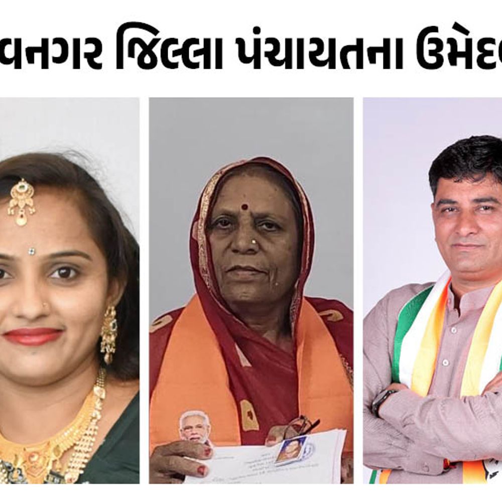 સ્થાનિક સ્વરાજ્યની ચૂંટણીમાં ત્રિપાંખિયો જંગ જામશે:ભાવનગર જિલ્લા પંચાયતમાં ભાજપે તમામ 40 બેઠકો પર ઉમેદવાર જાહેર કર્યાં, જુઓ લિસ્ટ