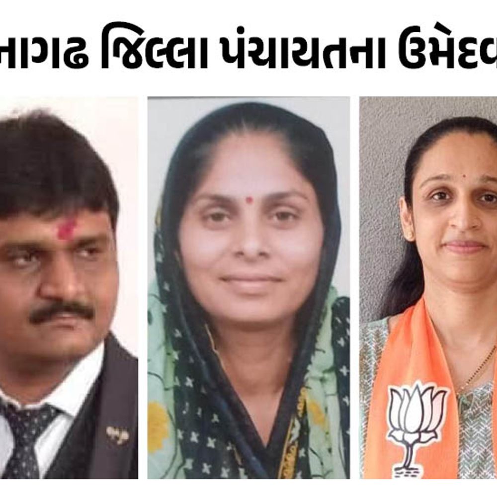 સ્થાનિક સ્વરાજ્યની ચૂંટણી 2026:જૂનાગઢ જિલ્લા-તાલુકા પંચાયતની બેઠકો માટે ભાજપ-કોગ્રેસ-આપે ઉમેદવારોના નામ જાહેર કર્યા, જુઓ લિસ્ટ