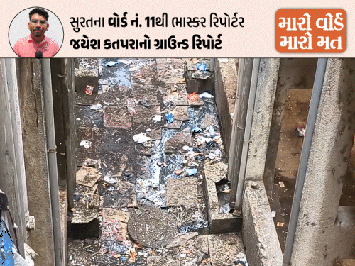 અડાજણ-ગોરાટમાં ગંદકીનું સામ્રાજ્ય: રહીશો ત્રાહિમામ; આવાસમાં દારૂની પોટલીઓ, સ્થાનિકે સુરતને સ્વચ્છતામાં 'ZERO' નંબર આપવા જણાવ્યું.