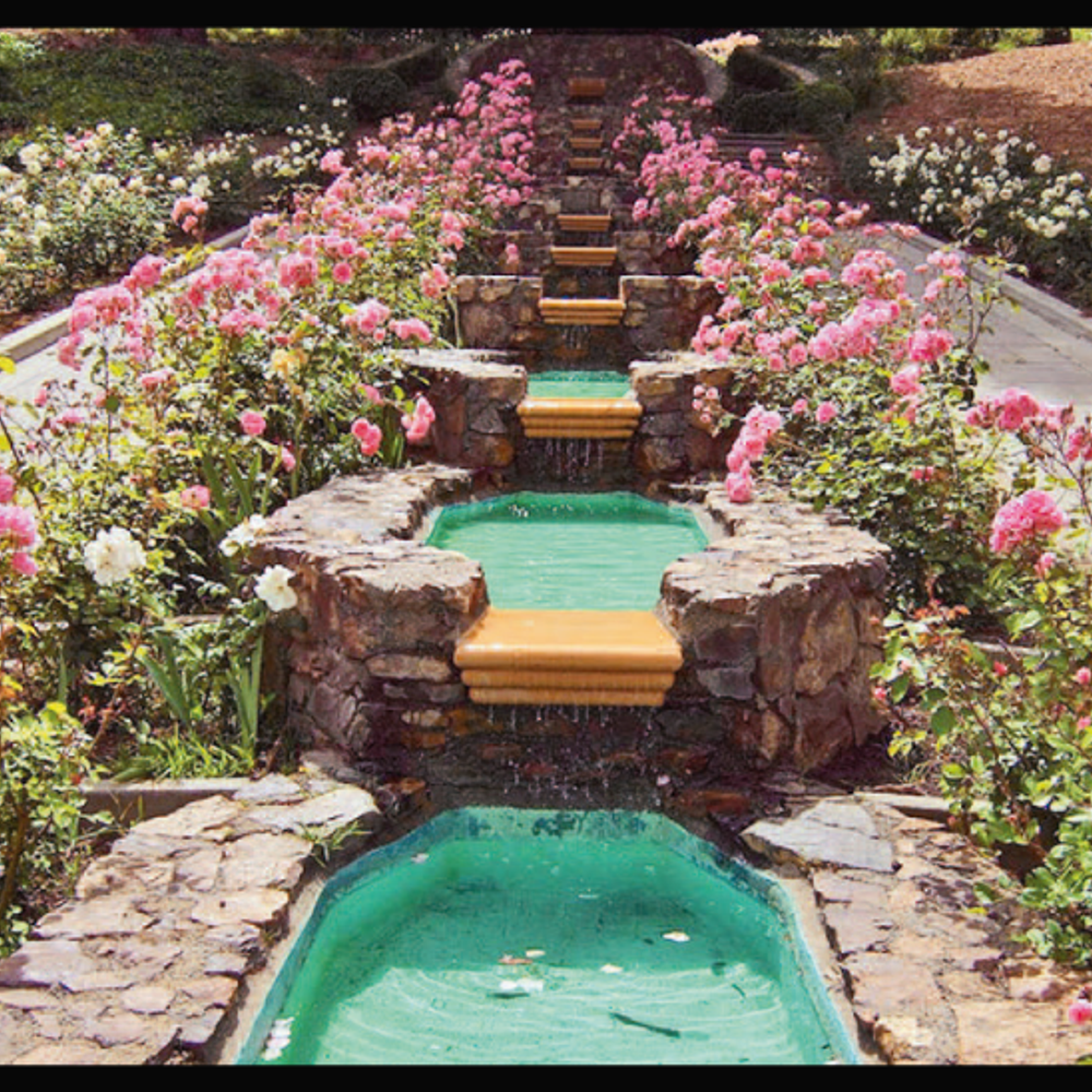 કોન્વોકેશન માટે વિઝા: ઈમિગ્રેશન સંબંધિત પ્રશ્નો અને જવાબો (FAQs).