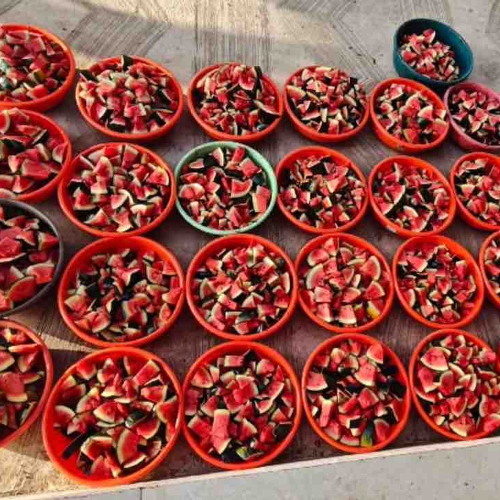 દ્વારકા ગૌશાળામાં ગૌમાતાને તરબૂચ ખવડાવ્યા:ગૌવંશને કાળઝાળ ગરમીમાં શીતળતા આપી