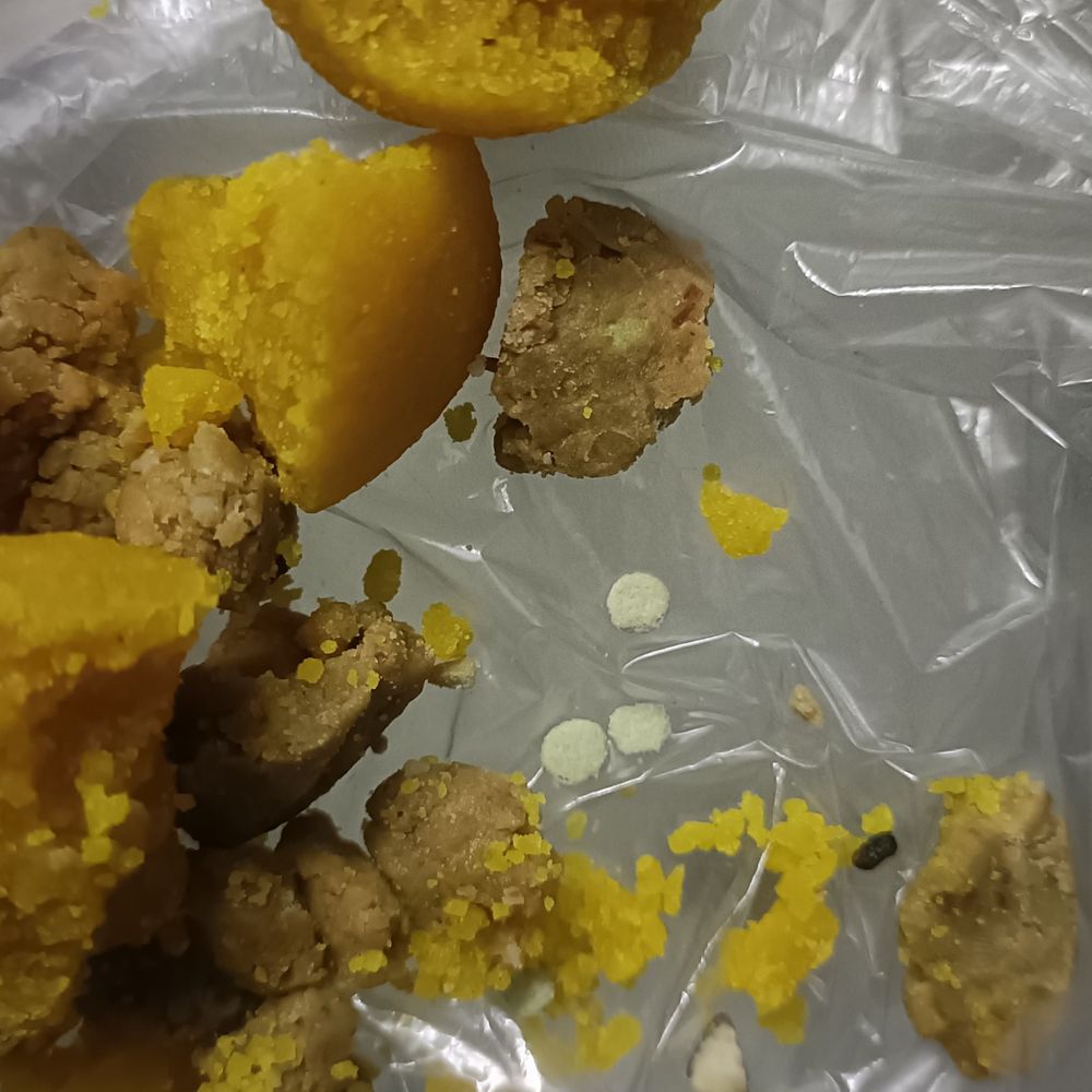 પ્રસાદીમાં ઝેર ભેળવી આખા પરિવારને ખતમ કરવાનું કારસ્તાન:બુંદીના લાડુમાંથી દવાની ટીકડીઓ નીકળી; સુરતના સસરા-પુત્રવધુ મોતના મુખમાંથી બચ્યા, પાડોશી પર શંકા