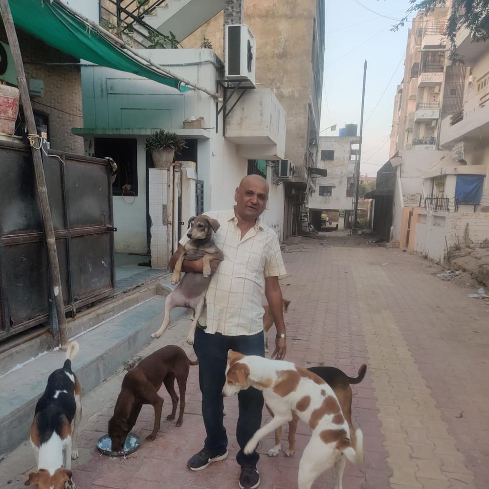 પાલનપુર ઉદ્યોગપતિની શ્વાનસેવા:ઘાયલ શ્વાનની સારવારથી શરૂ થયેલો સંકલ્પ આજે વટવૃક્ષ બન્યો