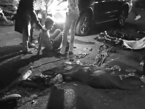 Gujarat Road Accident Kills 7 Pilgrims Near Lakhtar