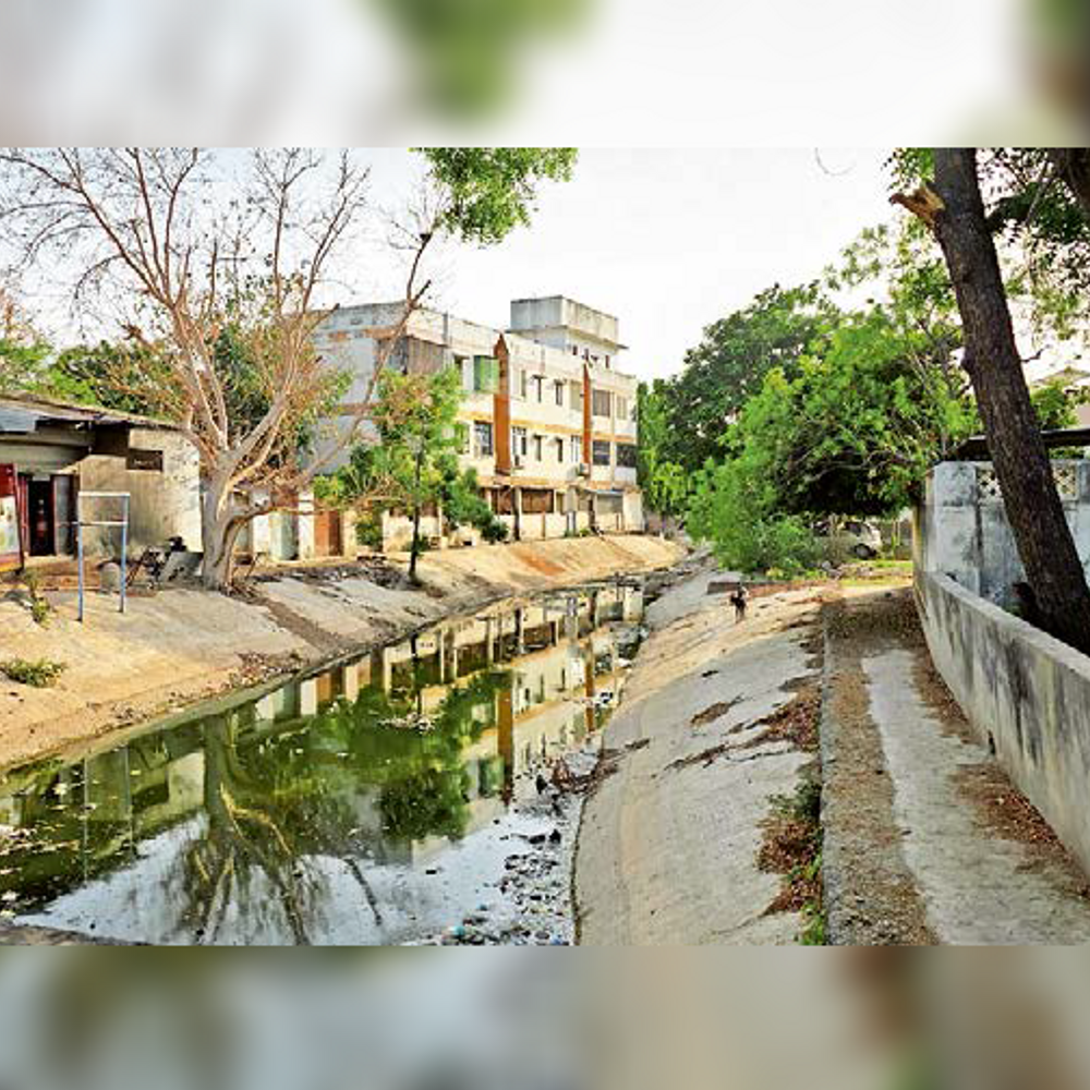 ભુજ વોર્ડ નં. 7: મધ્યમ વર્ગના વોર્ડમાં સમસ્યાઓનું આંશિક નિરાકરણ, રખડતા ઢોરનો ત્રાસ અને કોડકી રોડની ઉપેક્ષા યથાવત.