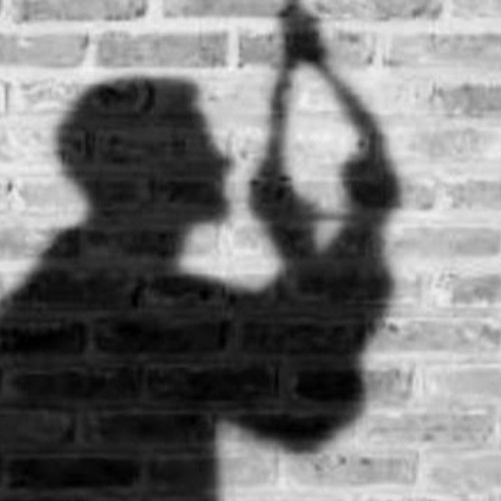 બે પરપ્રાંતી યુવાને ગળાફાંસો ખાઈ જીવન ટૂંકાવ્યું:કીડીઓ કેમ મરતી નથી, ચેક કરવા પોતે ઝેરી દવા ચાખી; યુવકને સારવારમાં ખસેડાયો