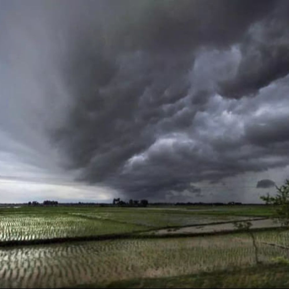 અલ નીનોની અસરના કારણે આ વર્ષે ચોમાસું નબળું રહેશે:લગભગ 80 સેમી વરસાદનો અંદાજ, સિઝનના અંતમાં થોડી રાહત મળી શકે છે