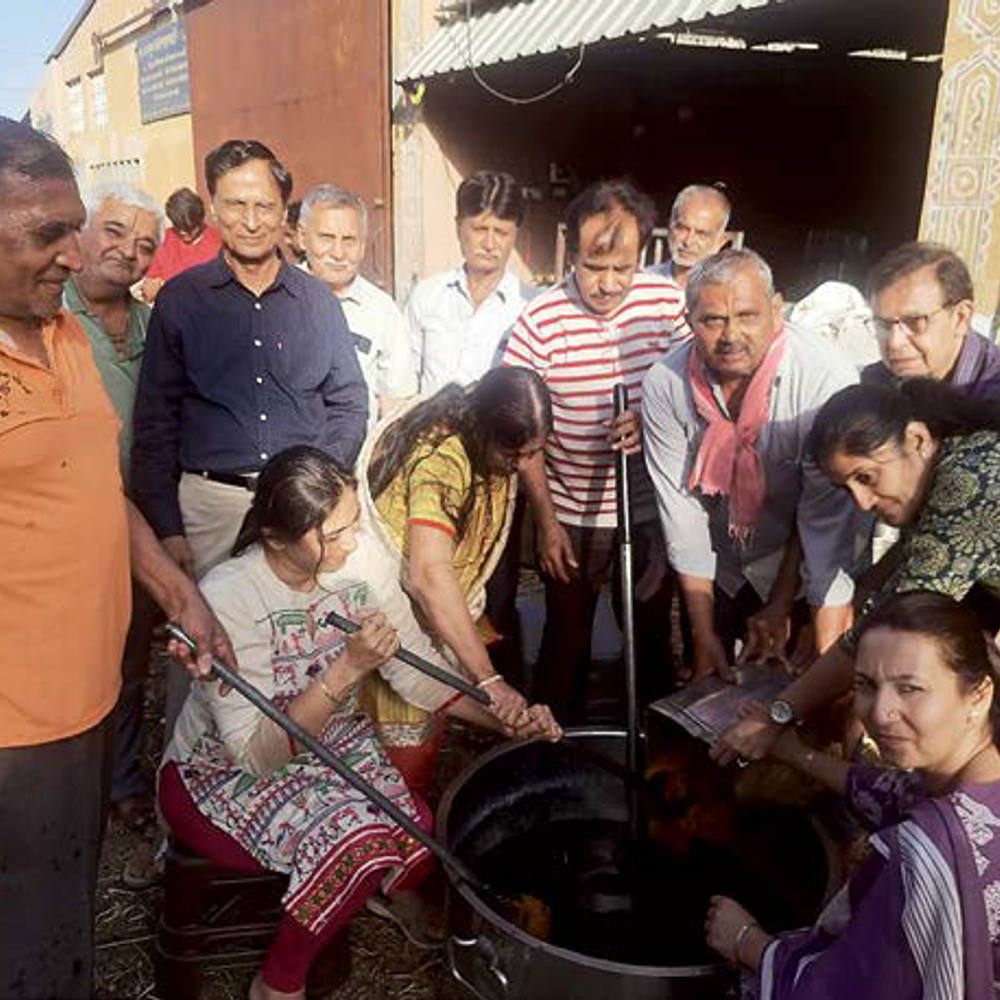 ઉનાળામાં ગૌસેવા: શ્રીજી ગૌશાળામાં 15 વર્ષથી ગાયોને વરિયાળી અને ગોળનું શરબત પીવડાવવાનો અનોખો પ્રયોગ.