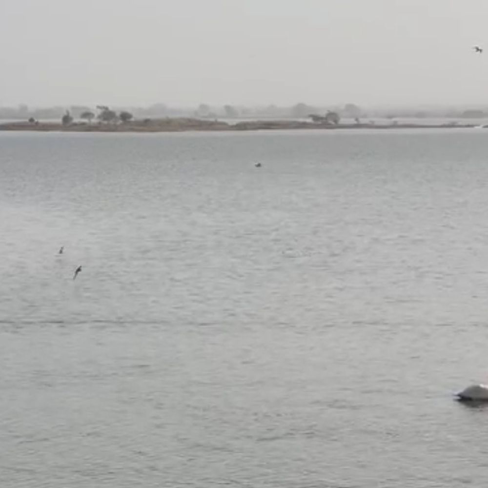 રાજકોટવાસીઓ માટે રાહતના સમાચાર:ઉનાળામાં પાણીનું સંકટ ટળ્યું, આજી બાદ ન્યારી પણ નર્મદાના નીરથી છલોછલ; જરૂર પડ્યે વધુ નર્મદાનાં નીર ઠાલવવા તૈયારી