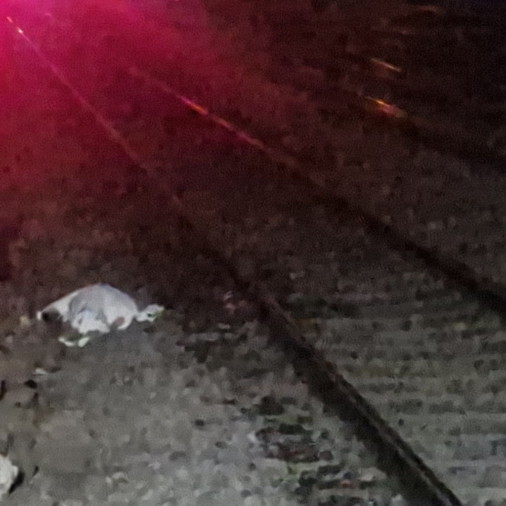 ઉમરગામ મામલતદારે ટ્રેન નીચે પડતું મૂકી આપઘાત કર્યો:જાહેર મંચો પરથી લોકોને આપઘાત ન કરવા માર્ગદર્શન આપતા હતા; ચૂંટણીની કામગીરીમાં રાત-દિવસ વ્યસ્ત હતા