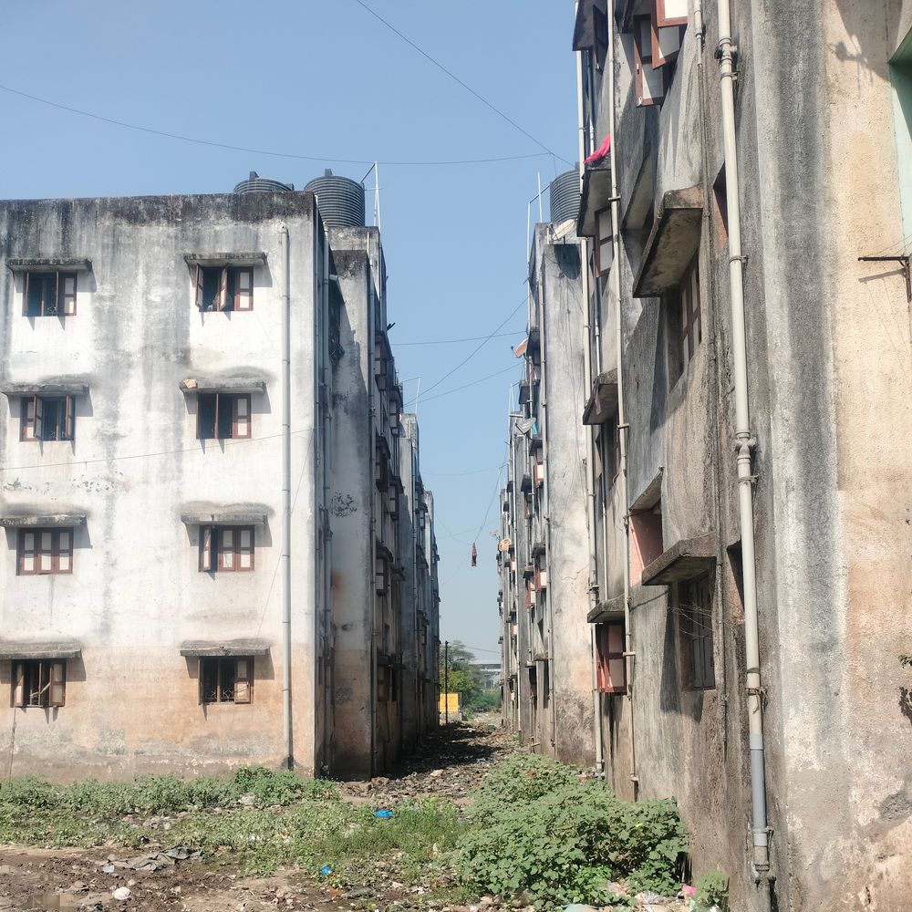 નવસારી રૂસ્તમવાડીની સરકારી વસાહતમાં ગંદકીથી 100થી વધુ પરિવારો રોગચાળાના ભય હેઠળ.