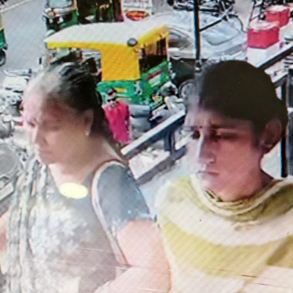 સુરેન્દ્રનગર LCBએ 8 ગુના આચરનાર ગેંગ ઝડપી:મધ્યપ્રદેશની કડિયા ગેંગની બે મહિલા આરોપી પકડાઈ