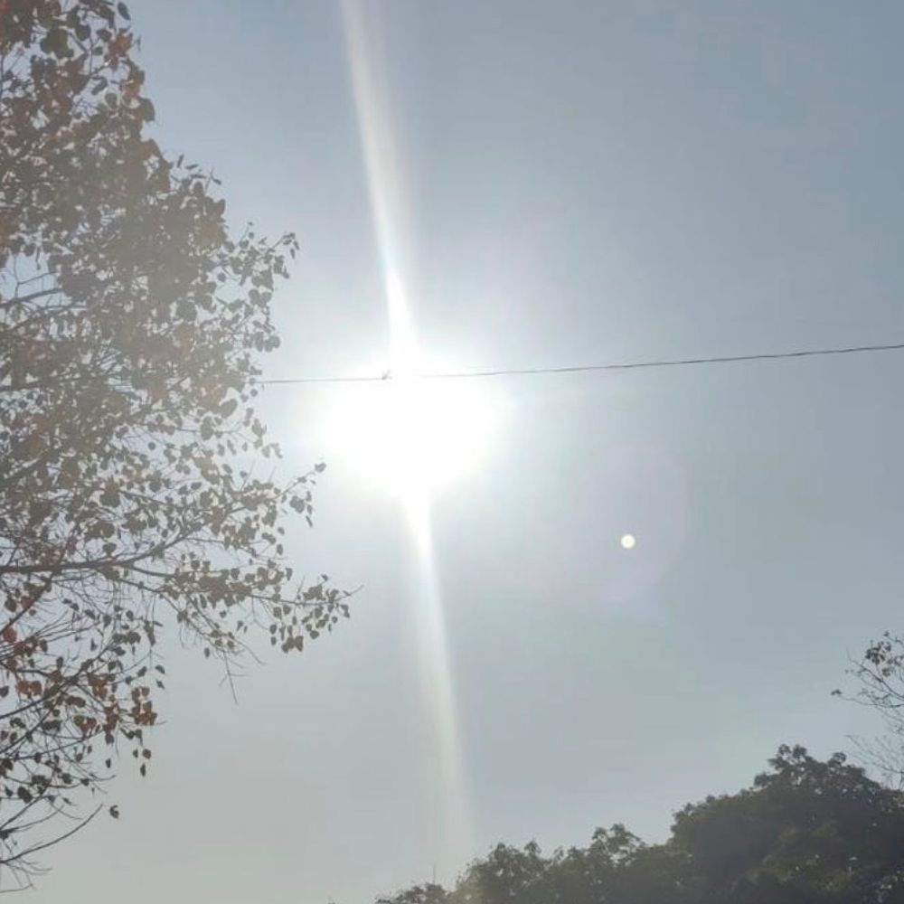 સુરતમાં ગરમીનો પારો 40 ડિગ્રી નજીક: Heatwave જેવી સ્થિતિ, બફારાથી મુશ્કેલી વધી, બાળકો અને વૃદ્ધો સાવધાન.