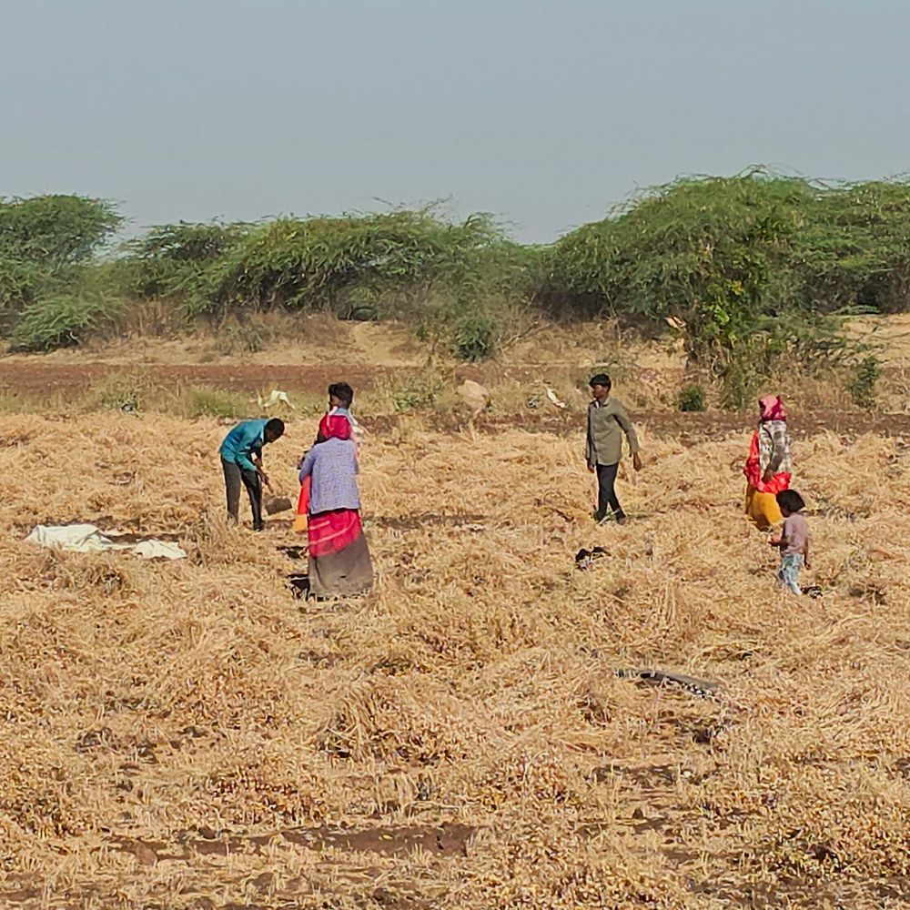 સુરેન્દ્રનગરમાં મતદાન દિવસે શ્રમયોગીઓને સવેતન રજા:પગાર કપાત નહીં થાય, ઉલ્લંઘન પર કાર્યવાહી થશે