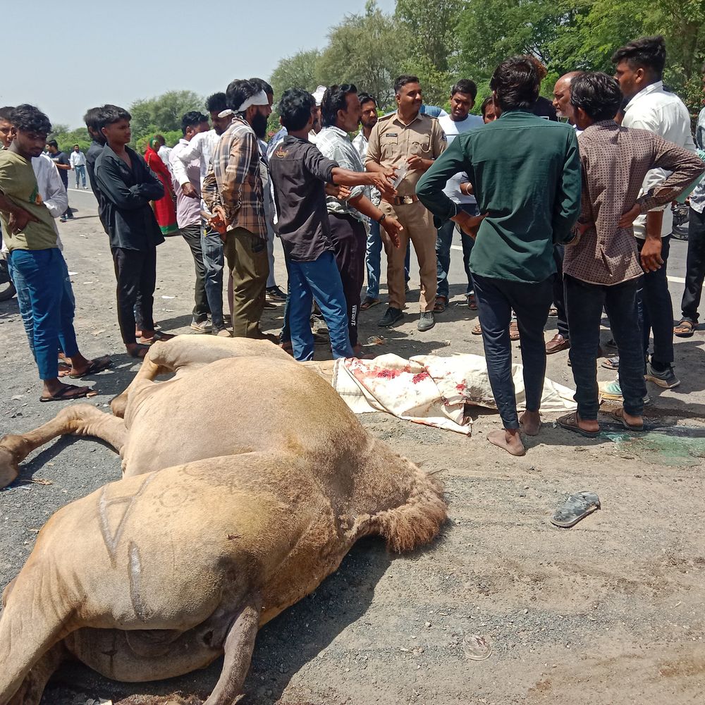 ગંભીર અકસ્માત: કેબિનમાં ફસાયેલા ચાલકને મુશ્કેલીથી બચાવ્યો. National Highway 48 પર અકસ્માત.